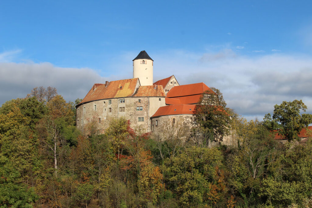 Burg mit rundem Turm und roten Dächern auf bewaldetem Hügel unter blauem Himmel